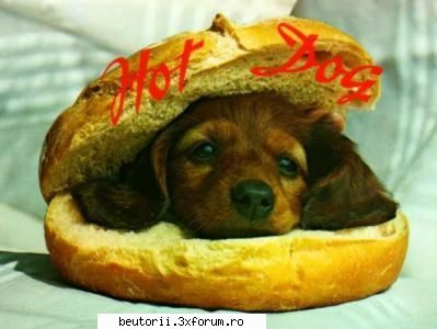 hot dogggg ja ja ja
